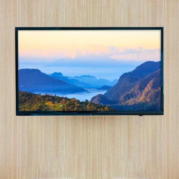 Samsung Frame Pro TV